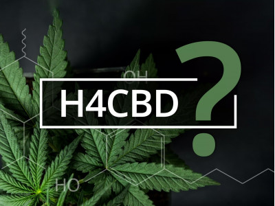 Что такое H4CBD? Полный обзор каннабиноида.