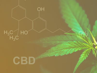 Что такое CBD (КБД) широкого спектра действия? Руководство для начинающих