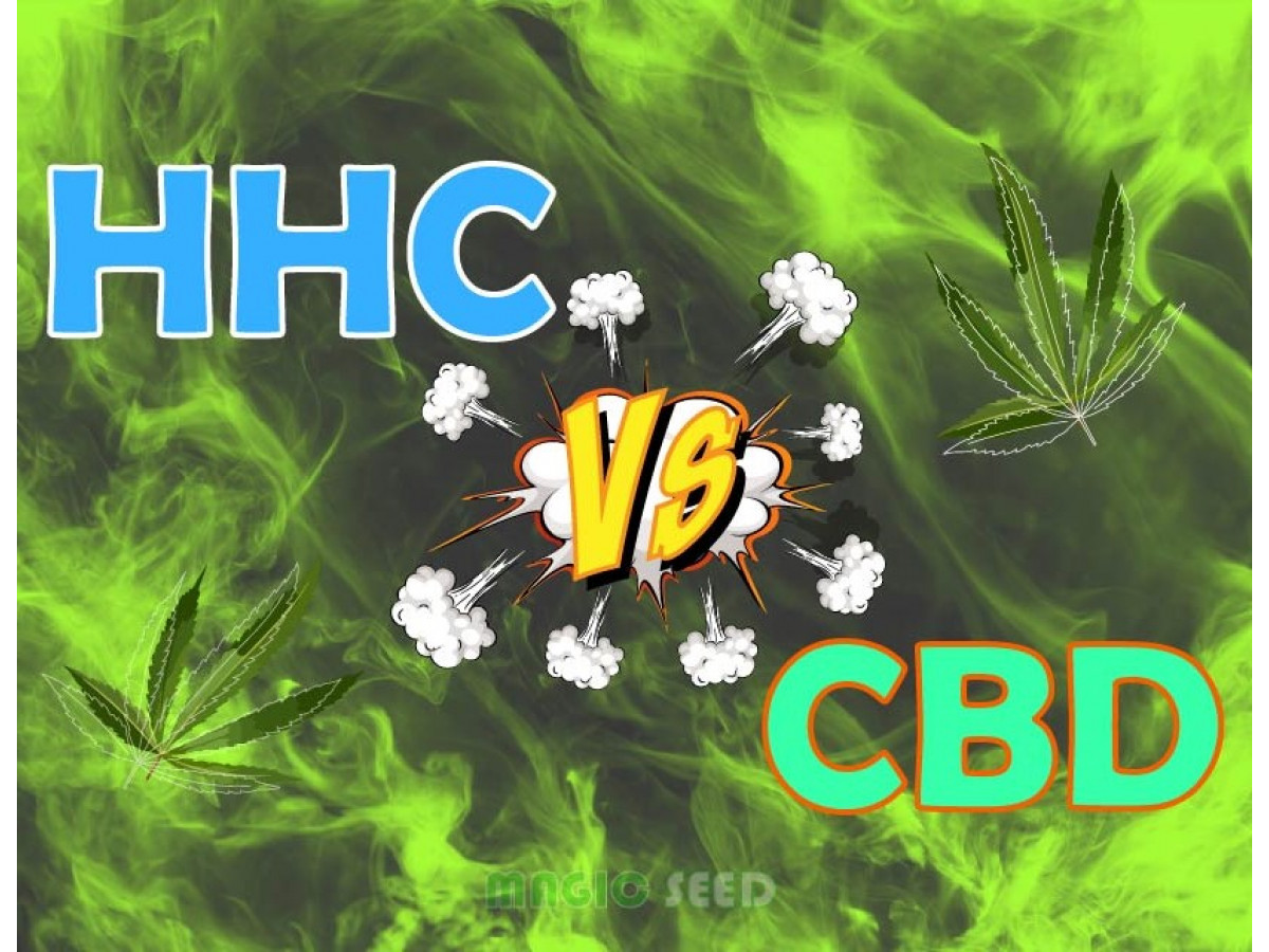 HHC та CBD: у чому різниця?