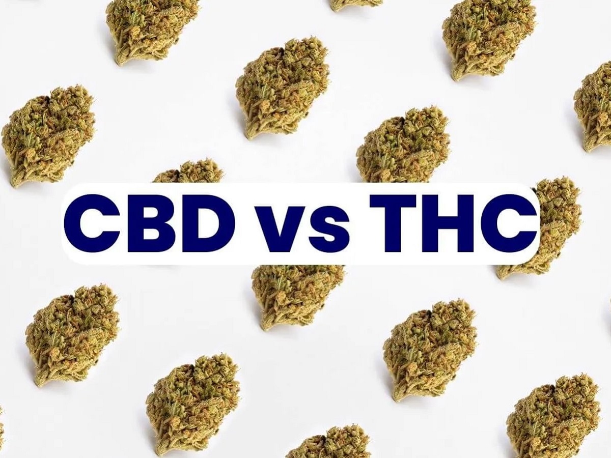 ТГК (THC) І КБД (CBD): У ЧОМУ ВІДМІННІСТЬ?