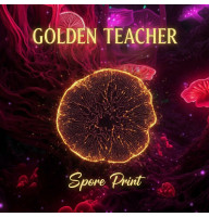 Споры грибов Golden Teacher