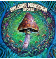 Споры грибов Malabar