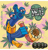AK-47 autofem