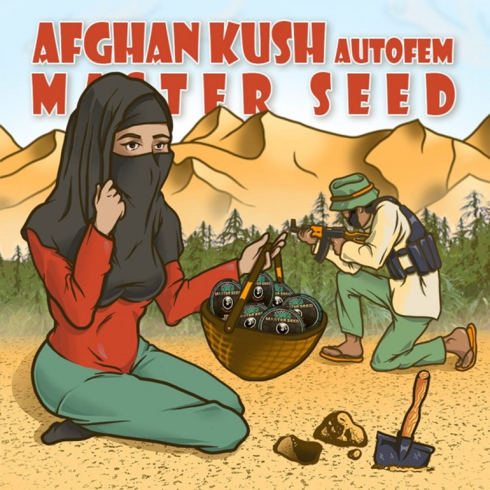 СЕМЕНА КОНОПЛИ AFGHAN KUSH AUTOFEM