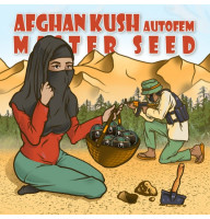Afghan Kush Auto