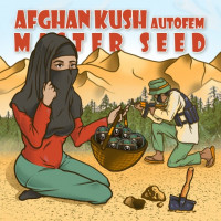 Afghan Kush Auto