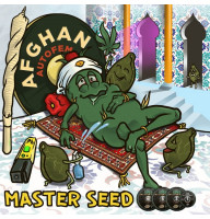 Afghan Auto Fem