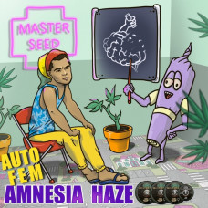 Amnesia Haze autofem