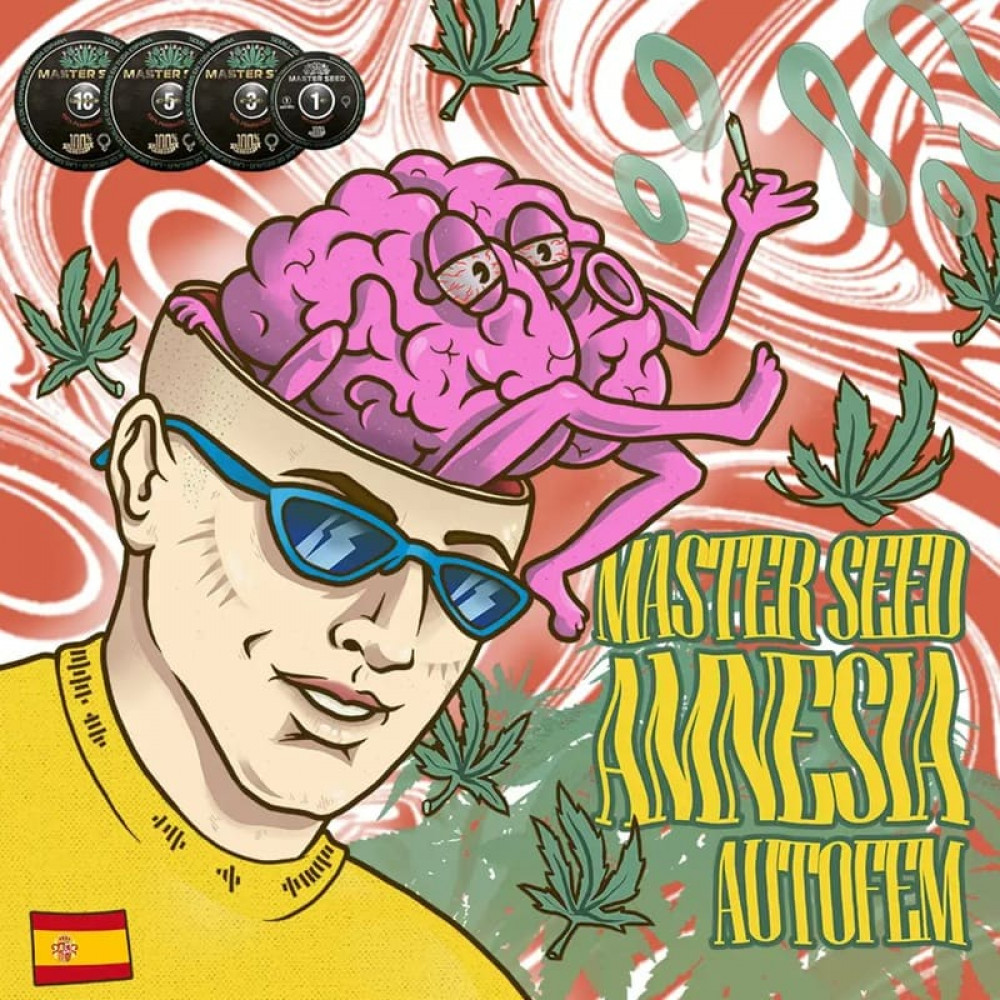 НАСІННЯ КОНОПЛІ AMNESIA AUTOFEM