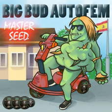 Big Bud autofem
