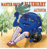 Blueberry autofem