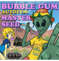 Bubble Gum autofem