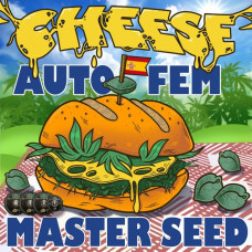 Cheese autofem