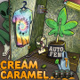 НАСІННЯ КОНОПЛІ CREAM CARAMEL AUTOFEM