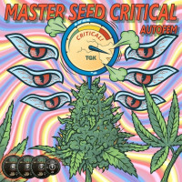 Critical autofem