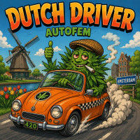 Dutch Driver autofem