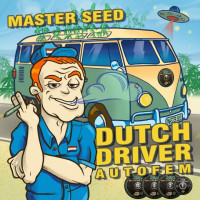 Dutch Driver autofem