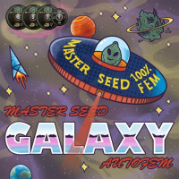 Galaxy autofem