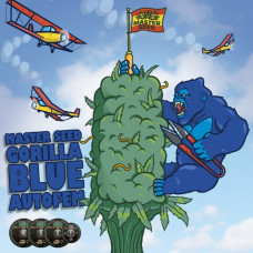 Gorilla Blue autofem