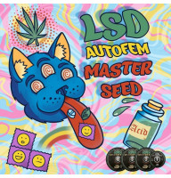 LSD autofem