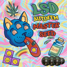 LSD autofem
