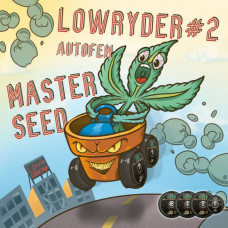 Lowryder2 autofem