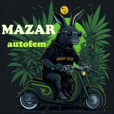 Mazar autofem