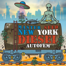 New York Diesel autofem