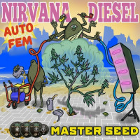 Nirvana Diesel autofem