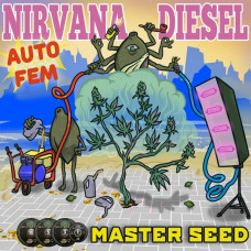 Nirvana Diesel autofem