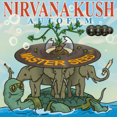 Nirvana Kush autofem
