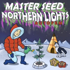 Northern Lights autofem