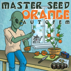 Orange autofem