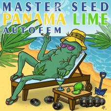 Panama Lime autofem