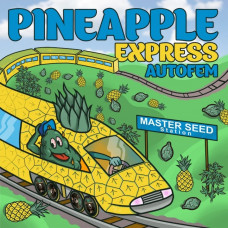 Pineapple Express autofem