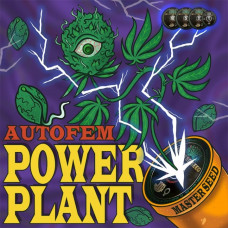 Power Plant autofem