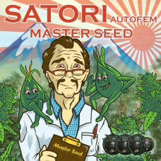Satori autofem