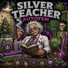 Silver Teacher autofem