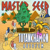 Tutankhamon autofem