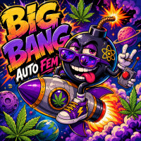Big Bang autofem