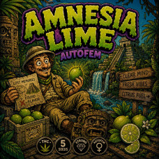 Amnesia Lime autofem