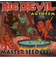 Big Devil autofem