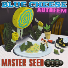 Blue Cheese autofem