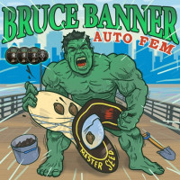 Bruce Banner autofem