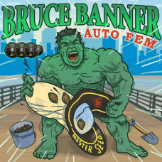 Bruce Banner autofem