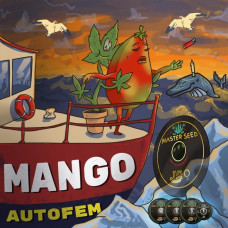 Mango autofem