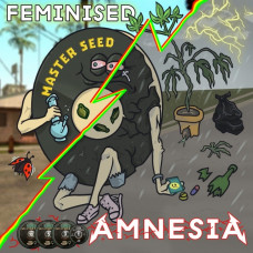 Amnesia fem