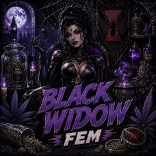 Black Widow fem
