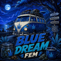Blue Dream Fem
