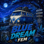 BLUE DREAM FEM — ФЕМІНІЗОВАНЕ НАСІННЯ З ЛЕГЕНДАРНОЮ ГЕНЕТИКОЮ